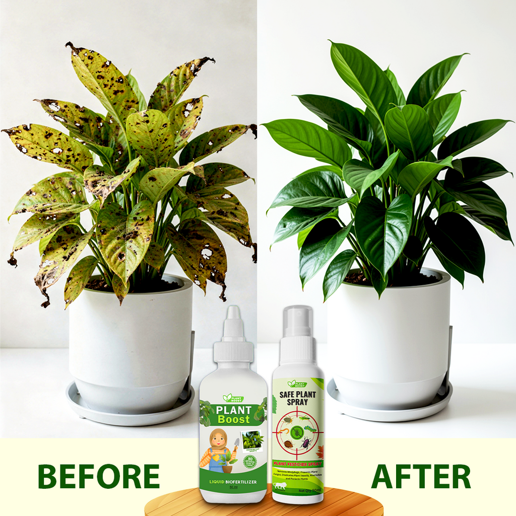 Natural Plant Care Combo - Plant Boost with Safe Plant Sprays